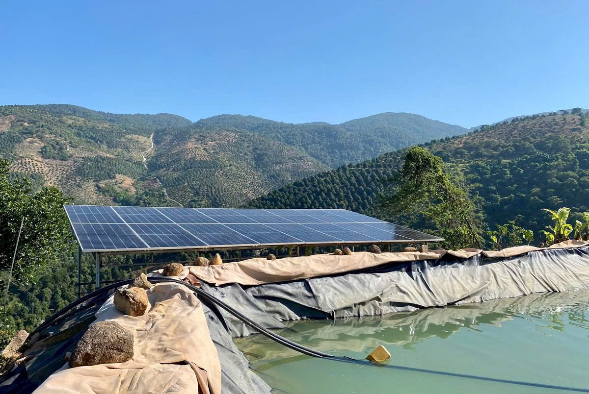 Năng lượng tái tạo bền vững với đèn năng lượng mặt trời tại Lâm Đồng